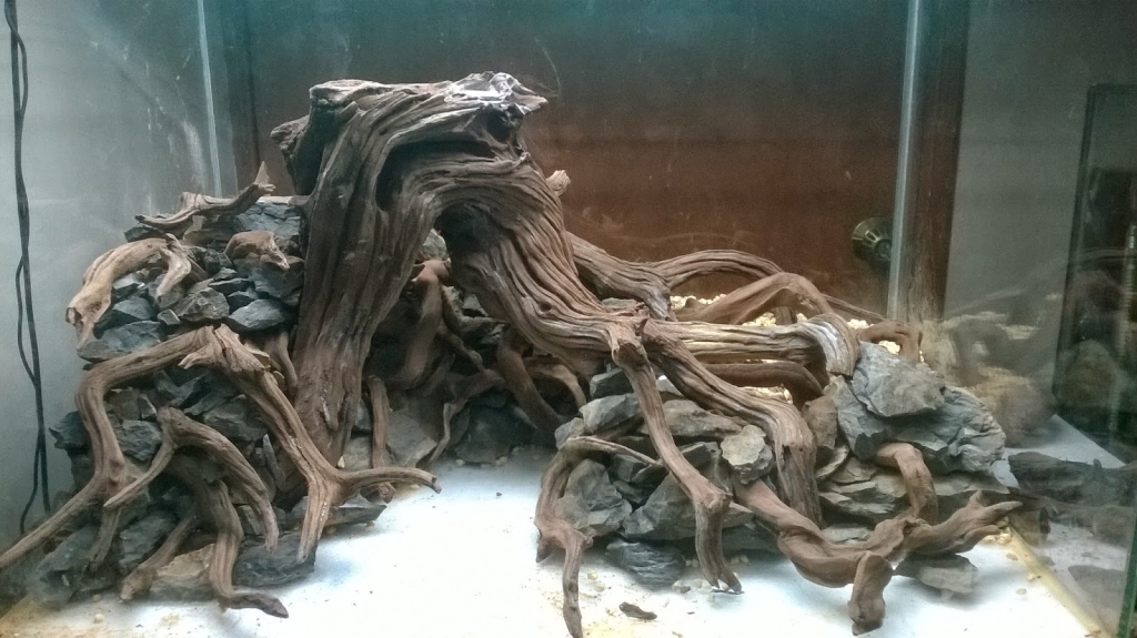 Tropic Land Acuario