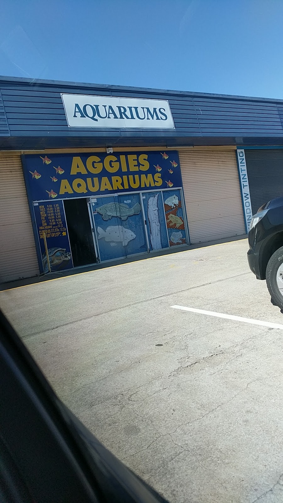 Acuarios Aggies
