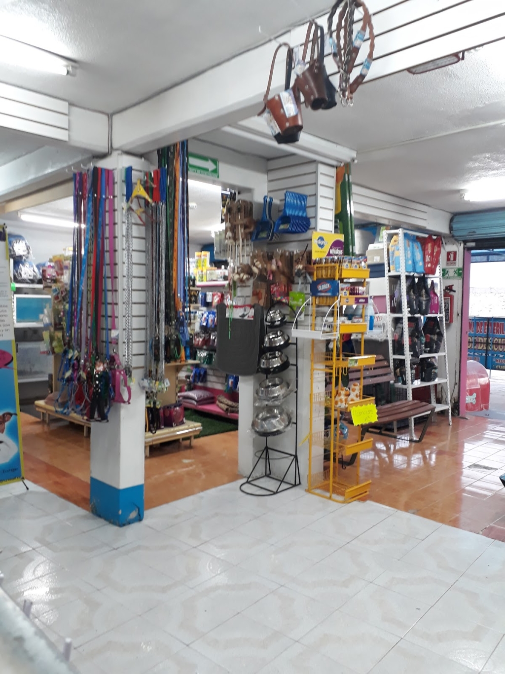 Dog House Veterinary