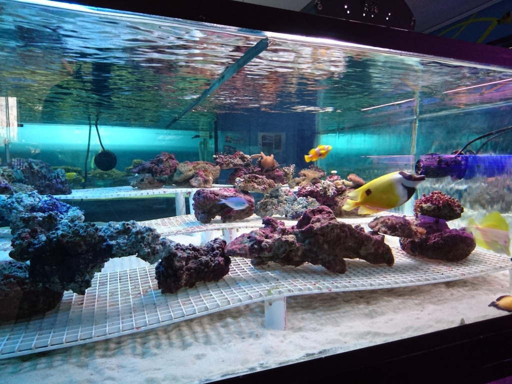 Golden Valley Aquarium