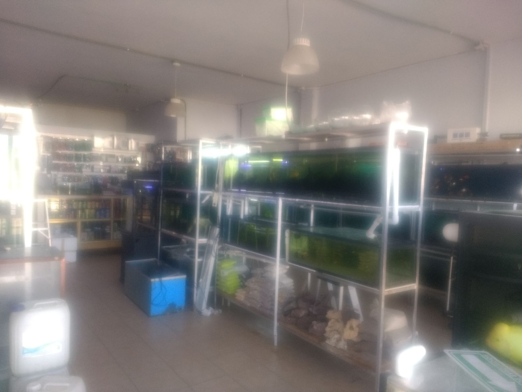 Acuario Aqua Pets