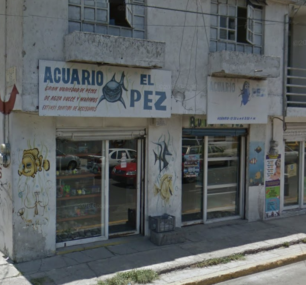 Acuario El Pez
