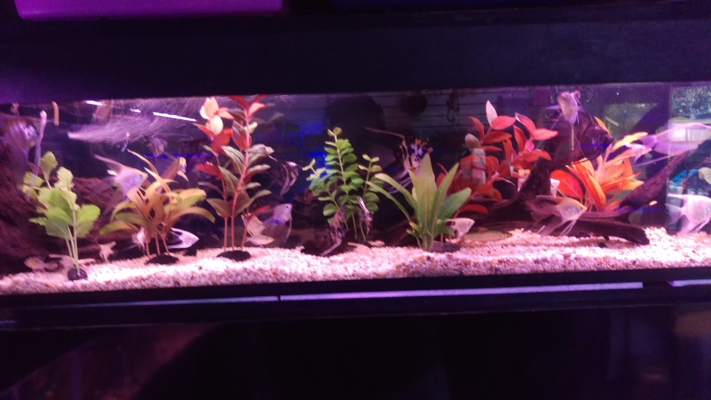 AquaZone