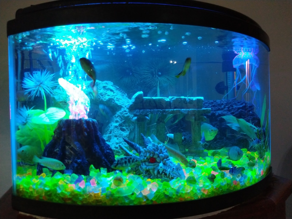 Acuario