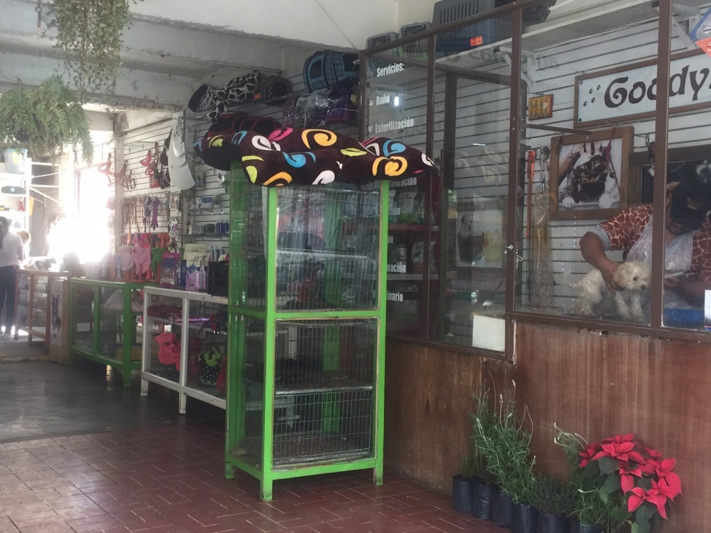 Clínica Veterinaria Tenancingo
