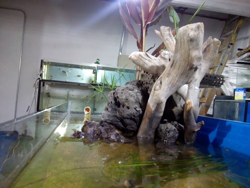 Acuario Q-Pez Diaz