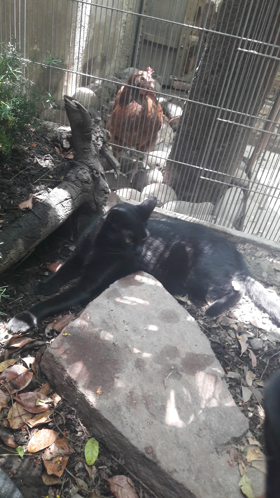 Acualandia