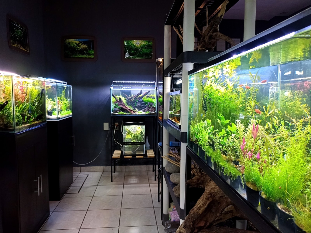 AquaBio