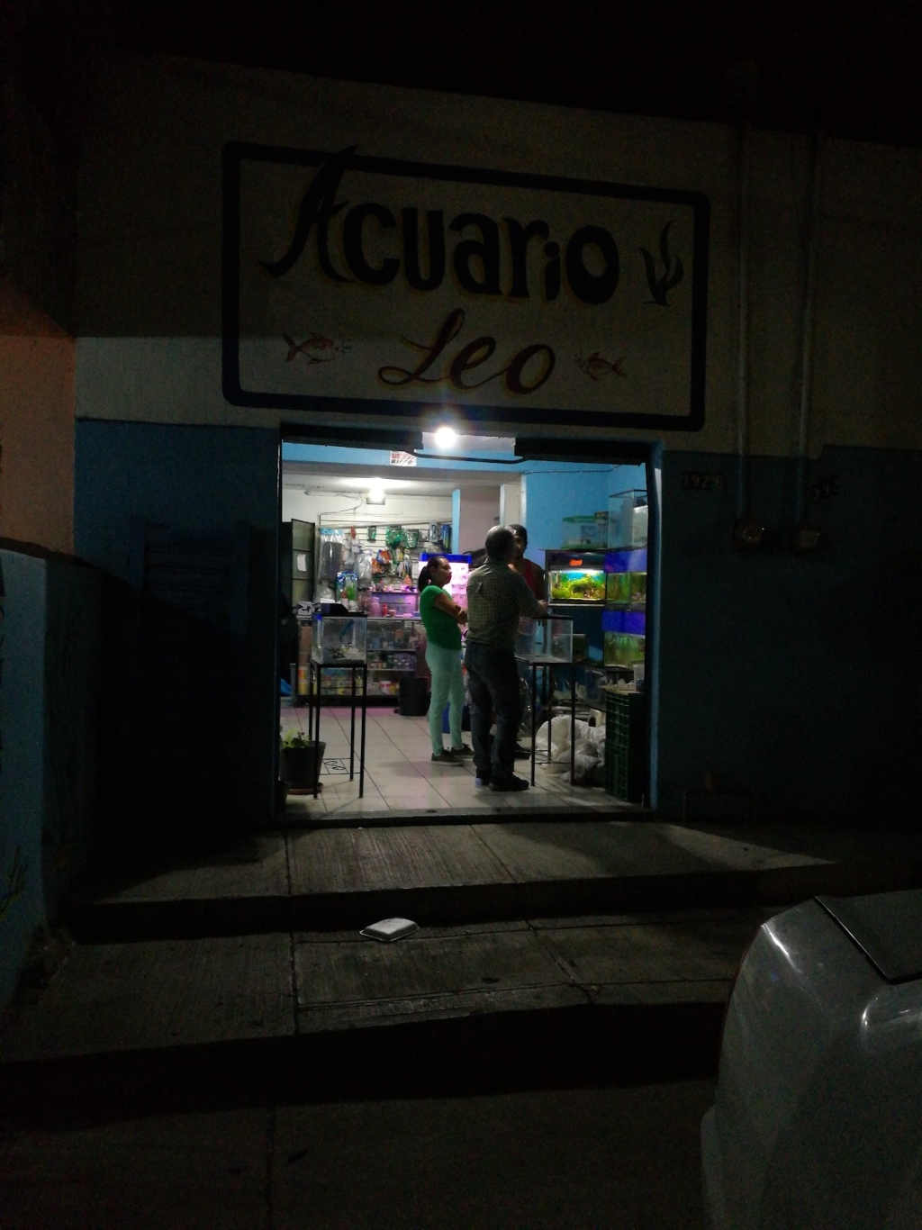 Acuario Leo