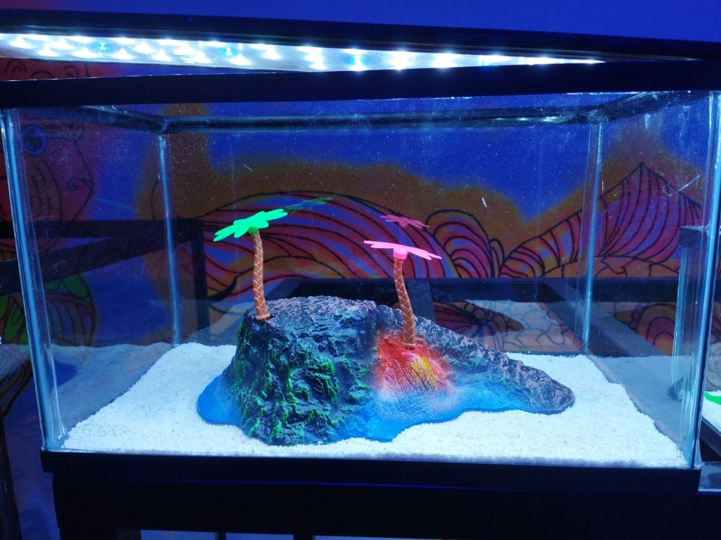 Acuario BAD FISH
