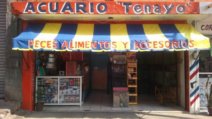 Tenayo Aquarium