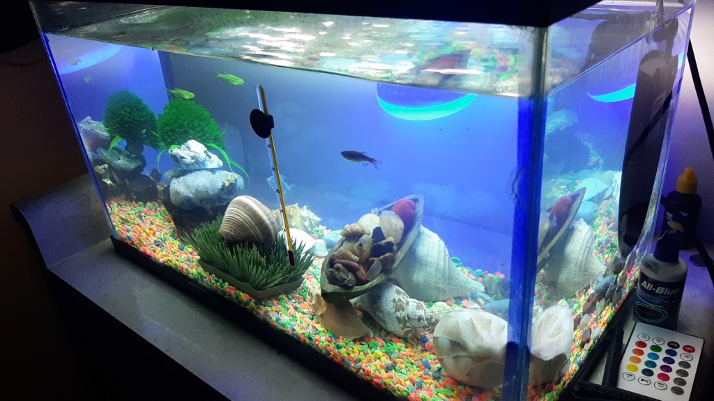 Acuario Escobedo